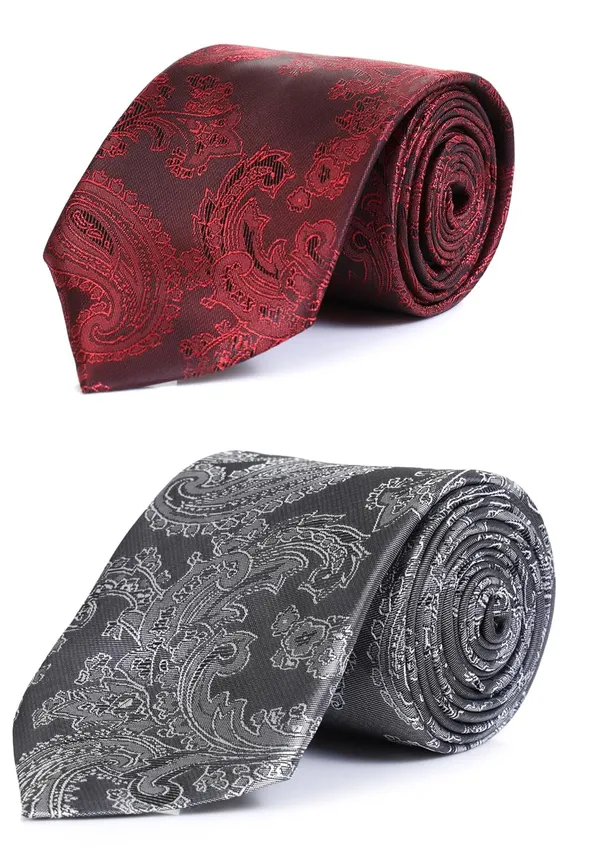 Necktie_For_Men_2_Tie_Combo_Pack_�_A_complete_set_for_every_formal_&_casual_occasion.