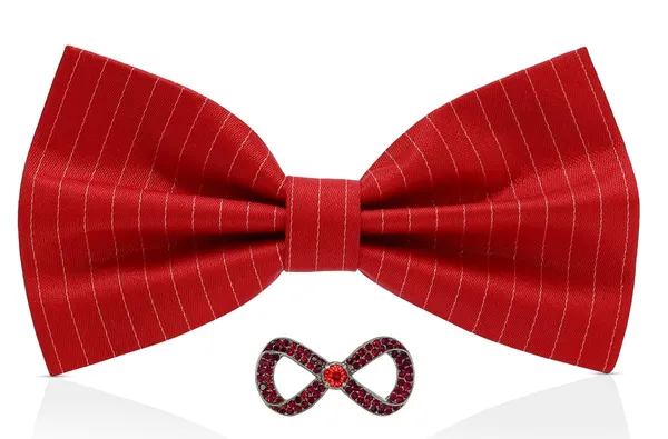 Random_Stripe_Bow_Tie_For_Men_With_Brooch_Self_Lining_Bowties