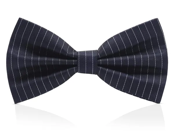 Random_Stripe_Bow_Tie_For_Men_With_Stylish_Brooch_Self-Lining_Micro_Fiber_BowTie