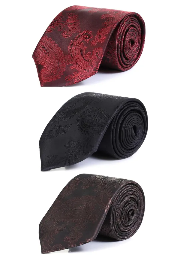 Necktie_For_Men_2_Tie_Combo_Pack_�_A_complete_set_for_every_formal_&_casual_occasion.