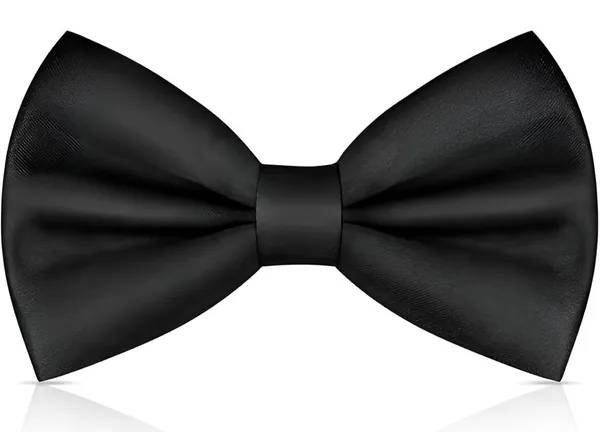 Random_Stripe_Premium_Satin_Bow_Tie_with_Designer_Brooch_�_10_Color_Options