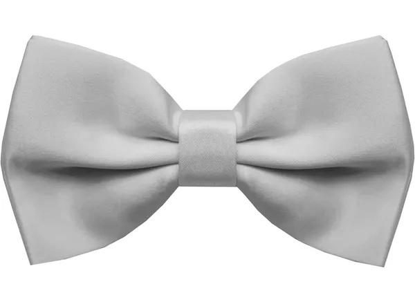 Random_Stripe_Premium_Satin_Bow_Tie_with_Designer_Brooch_�_10_Color_Options