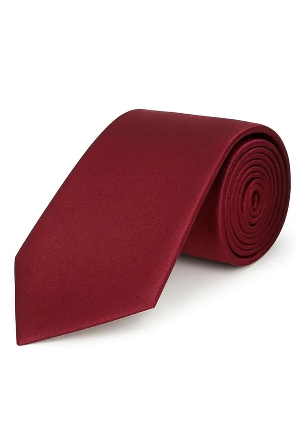 Necktie_For_Men_Plain_Silky_and_Smooth_Tie_Two_Different_Colors