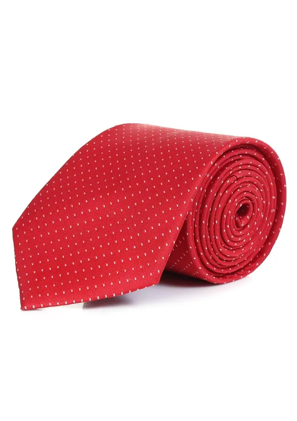 Tie_Set_For_Men_With_Stylish_Lapel_Brooch_&_Pocket_Square_Gifted_Box_(3_Items)_Formal_Combo