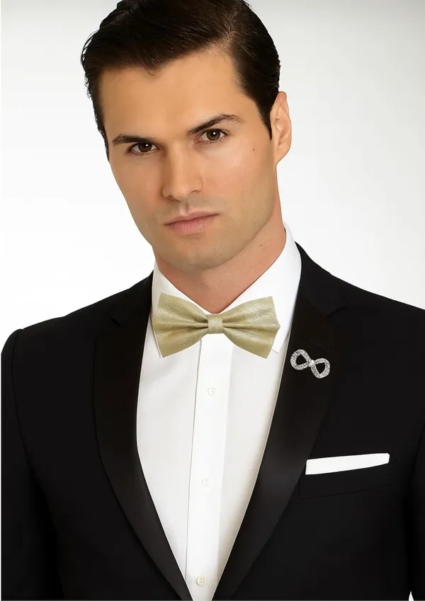 Random_stripe_Men's_Bow_Ties_Pre-Tied_Style_Formal_Satin_Classic_Bowtie_for_jacquard_Self-Design_With_Brooch