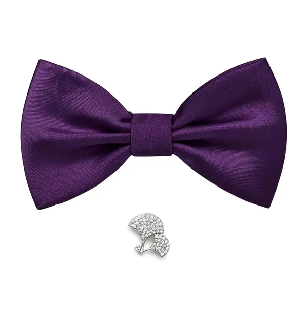 Bow_Tie_For_Men_With_Stylish_Brooch_Plain_Silk_BowTies_Pack_of_2