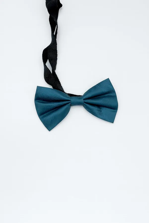 Random_Stripe_Men's_Bow_Ties_Pre-Tied_Style_Formal_Satin_Classic_Bowtie_for_Jacquard_with_Brooch