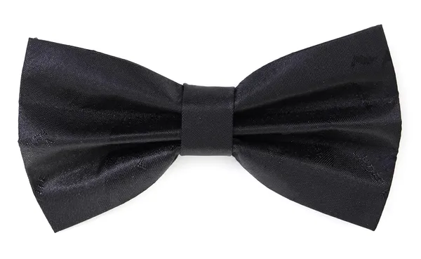 Random_Stripe_Bow_Tie,_Pre-Tied_Adjustable_Bowties,_Silk_Self-Design