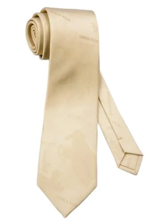 Random_Stripe_Men_Necktie_With_Gifted_Box_World_Map_Self_design_Tie