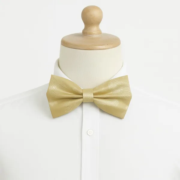 Random_Stripe_Men's_Bow_Ties_Pre-Tied_Style_Formal_Satin_Classic_Bowtie_for_Jacquard_with_Brooch