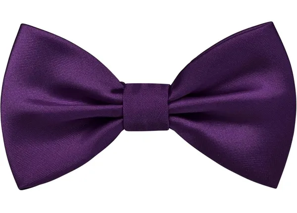 Random_Stripe_Premium_Satin_Bow_Tie_with_Designer_Brooch_�_10_Color_Options