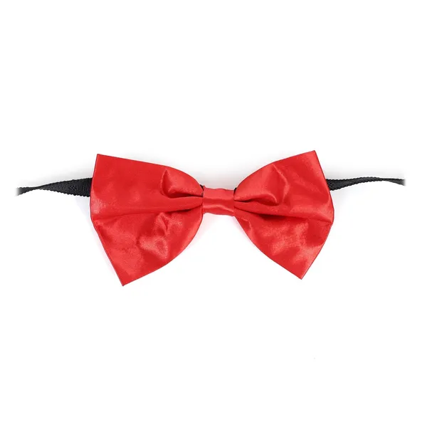 Bow_Tie_for_men_With_Double_chain_brooch_Formal_&_Wedding_Set