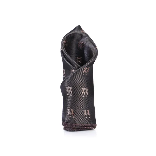 Necktie_Set_for_Men_with_Matching_Pocket_Square_&_Brooch_Chain_Pack_of_3