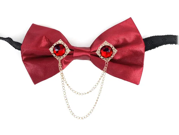 Bow_Tie_for_men_With_Double_chain_brooch_Formal_&_Wedding_Set