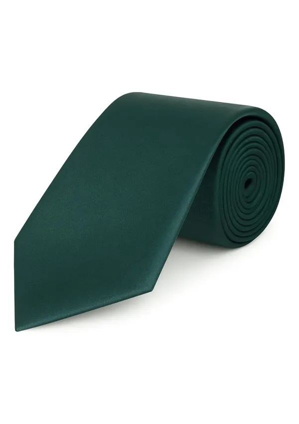 Necktie_For_Men_Plain_Silky_and_Smooth_Tie_Two_Different_Colors