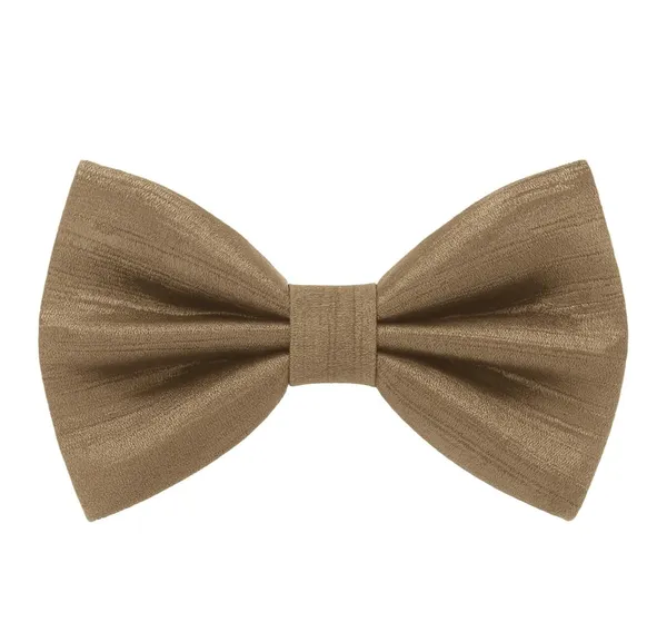 Men's_Premium_Satin_Bow_Tie_with_Royal_Gemstone_Brooch_�_12_Colors_Elegant_Combo_for_Party,_Wedding_&_Formal