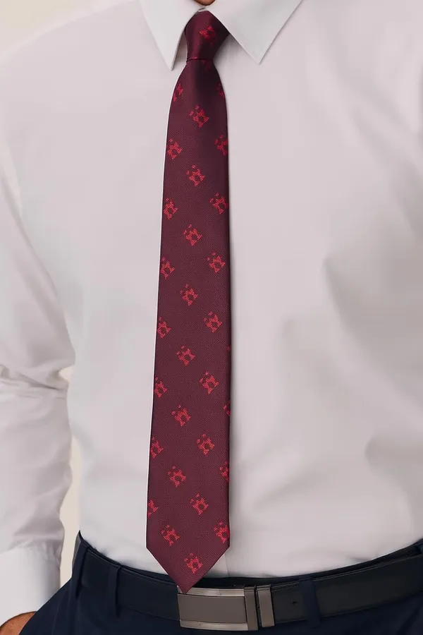 Men_Premium_Silk_Necktie_�_Classic_Formal_Tie_for_Office,_Wedding_&_Party_�_Available_in_9_Elegant_Colors