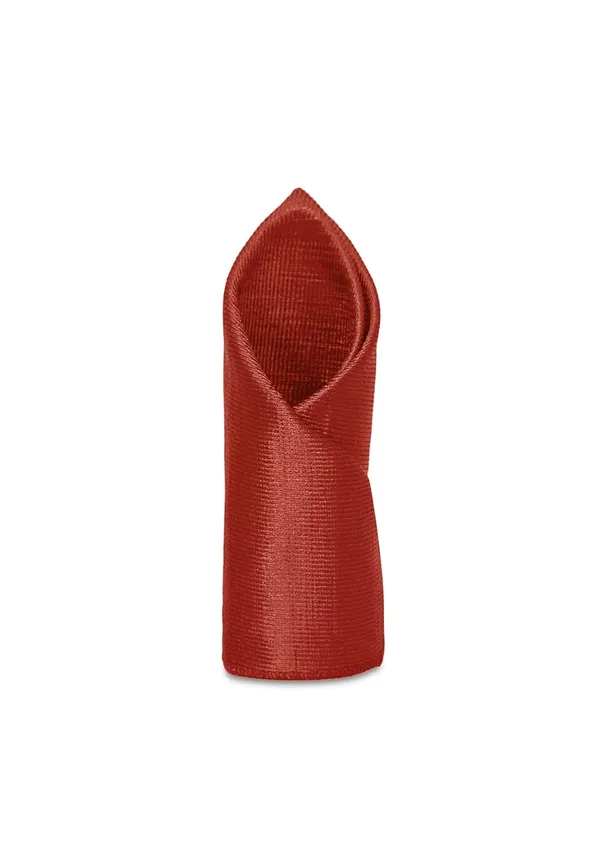 Premium_Necktie,_Pocket_Square_&_Crown_Brooch_Combo_Set_for_Men_�_13_Stylish_Colors