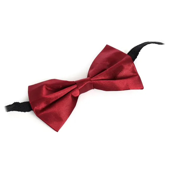 Bow_Tie_For_Men_With_Stylish_Brooch_Formal_Combo_Bow_&_Brooch_Gifted_Set