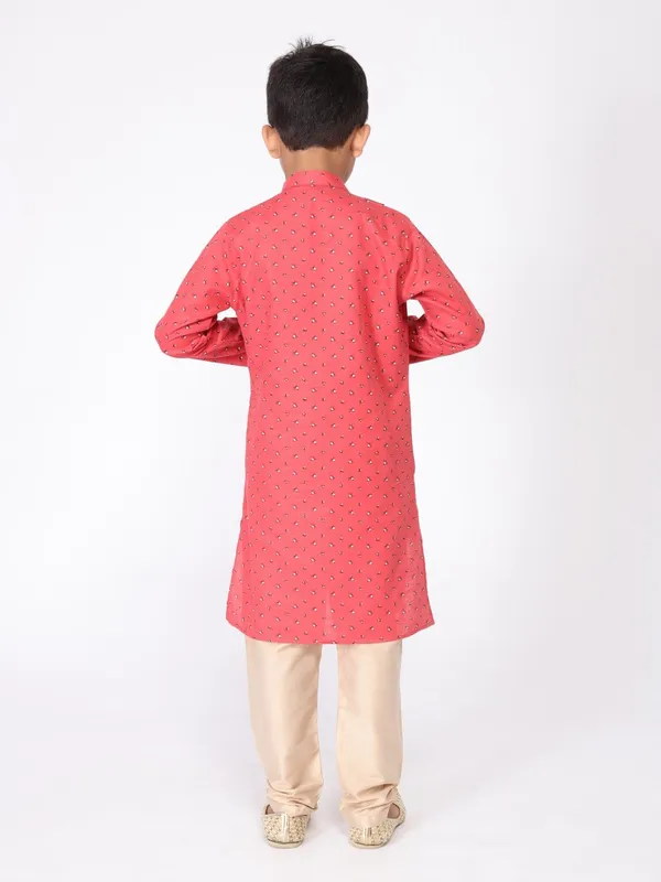 Tabard_Boys_Printed_Straight_Kurta_(Pink)