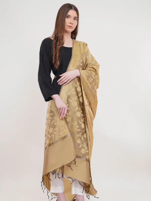 Beige_Woven_Design_Banarasi_Silk_Dupatta