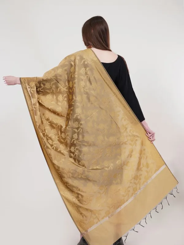 Beige_Woven_Design_Banarasi_Silk_Dupatta