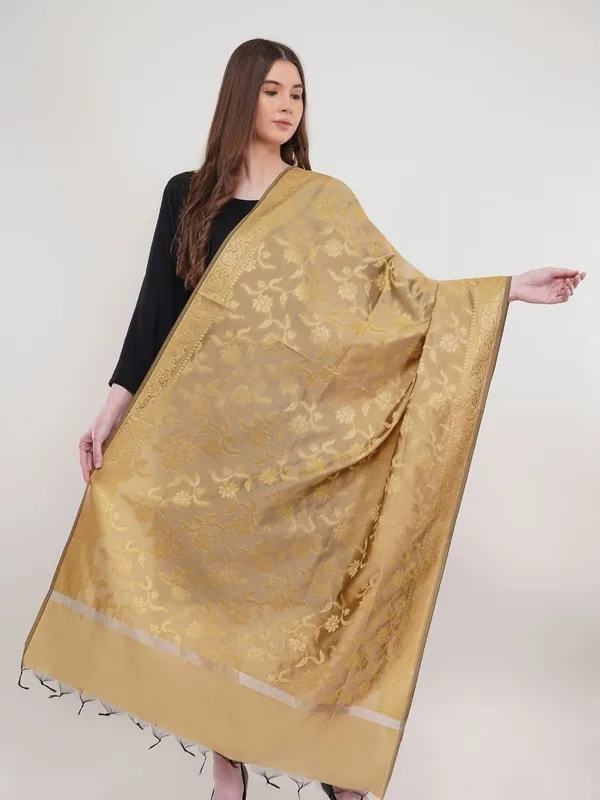 Beige_Woven_Design_Banarasi_Silk_Dupatta