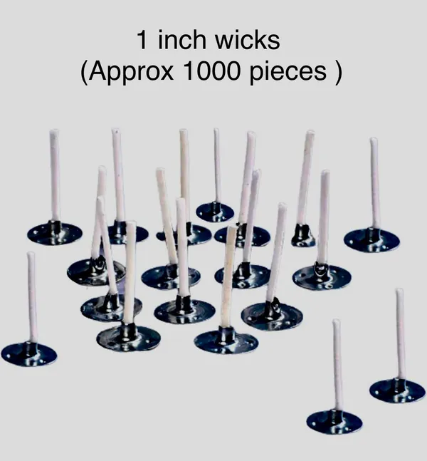 White_Cotton_Candle_Wick_Wax_Coated_Pre_Tabbed_Diy_Candle_Wicks_For_Candles_Making_1000_Pcs_Pack_(Length-1_Inch)_Art_&_Craft