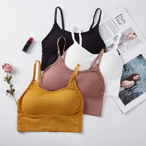 Pack_Of_4_|_646_EasyCare_Padded_Bra__Machine-friendly,_pads_keep_shape.