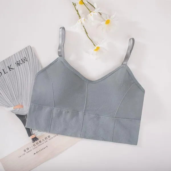 Pack_Of_2_|_646_StrongBand_Padded_Bra_â€”_Extra_support_under_the_bust_|_Green-Grey_|_100%_Same_Color_Recived