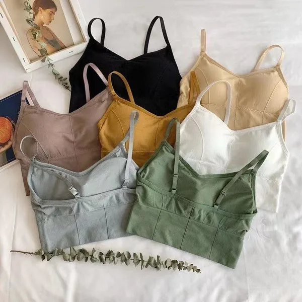 Pack_Of_5_|_646_Double-Layer_Padded_Bra__Modesty_+_Support