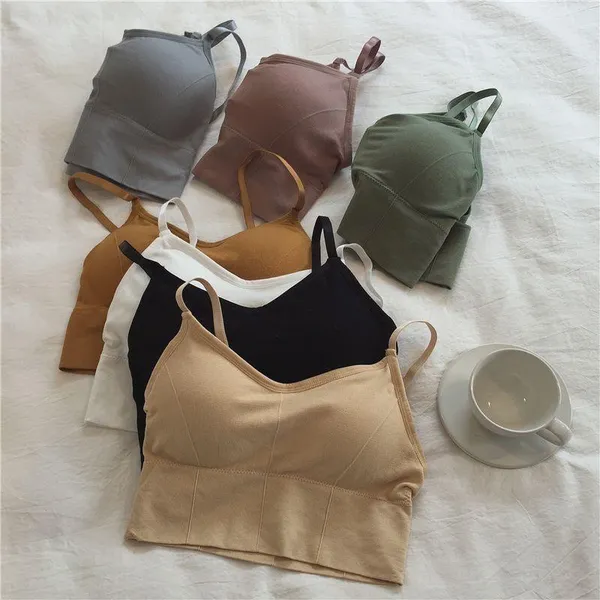 Pack_Of_5__|_646_Support_Band_Padded_Bra__Wider_Band,_Stable_Fit