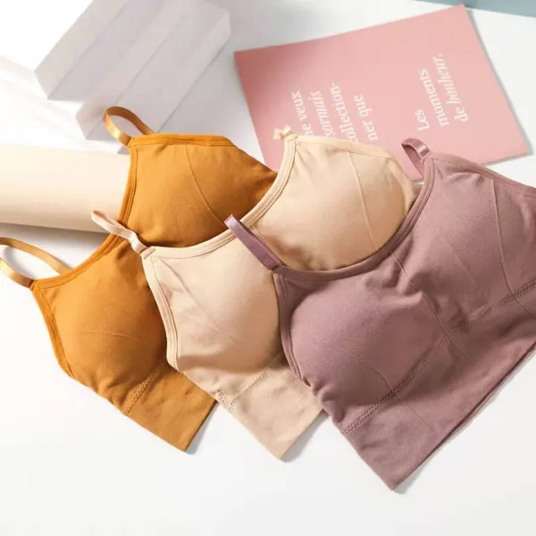 Pack_Of_3_|_646_ActiveEase_Padded_Bra__Easy_movement,_light_padding.