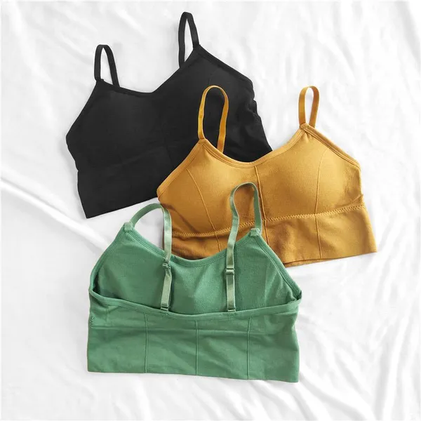Pack_Of_3_|_646_Travel-Ready_Padded_Bra__Packable,_Shape-Retaining_Cupss