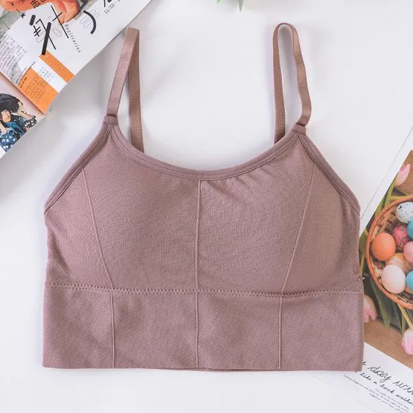 Pack_Of_4_|_646_Classic-Fit_Padded_Bra__Reliable_Support,_Everyday_Performance