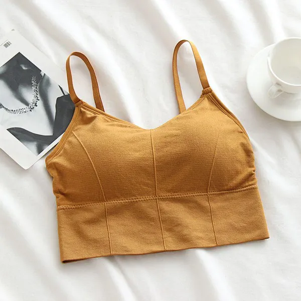 Pack_Of_4_|_646_Classic-Fit_Padded_Bra__Reliable_Support,_Everyday_Performance