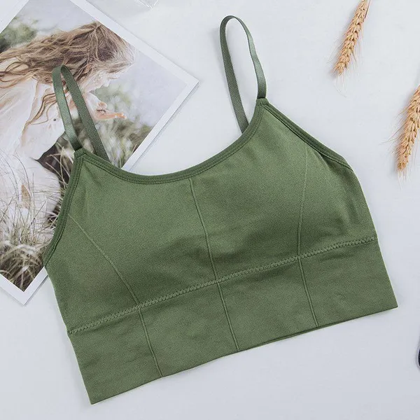 Pack_Of_4_|_646_Classic-Fit_Padded_Bra__Reliable_Support,_Everyday_Performance
