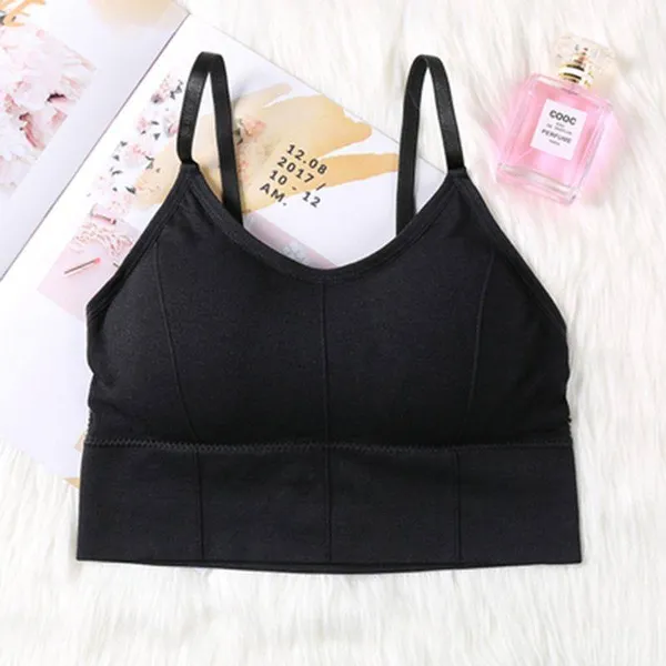 Pack_Of_4_|_646_Classic-Fit_Padded_Bra__Reliable_Support,_Everyday_Performance