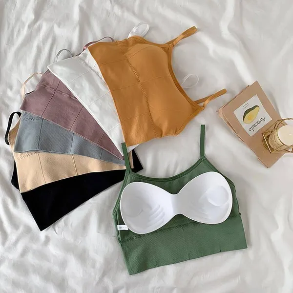Pack_Of_6_|_646_Everyday_Padded_Bra__Low_to_Medium_Impact