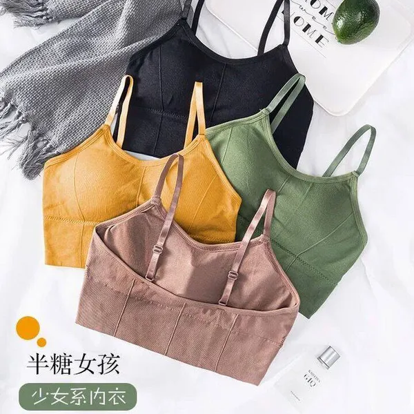 Pack_Of_4_|_646_EverydayLift_Padded_Bra__Simple_lift_for_daily_workouts.