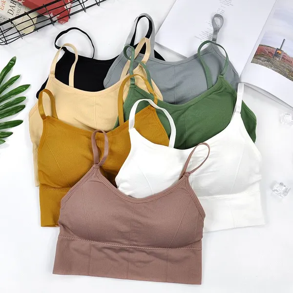 Pack_Of_6_|_646_EverydaySupport_Padded_Bra_â€”_Reliable_hold_for_daily_use._|_Multicolor
