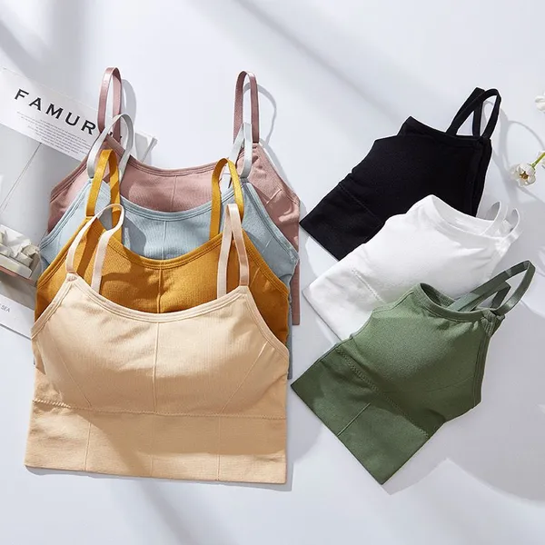 Pack_Of_6_|_646_Breathable_Padded_Bra__Mesh_Panels_for_Maximum_Ventingg