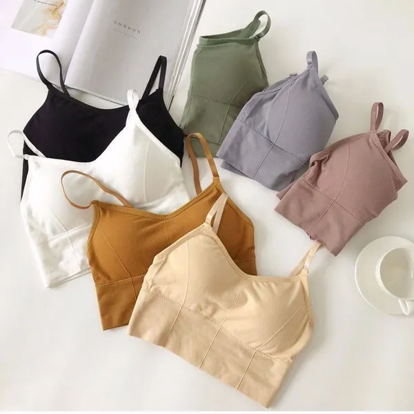 Pack_Of_4_|_646_Low-Impact_Padded_Yoga_Crop__Lightweight_Cushioning_for_Gentle_Flow
