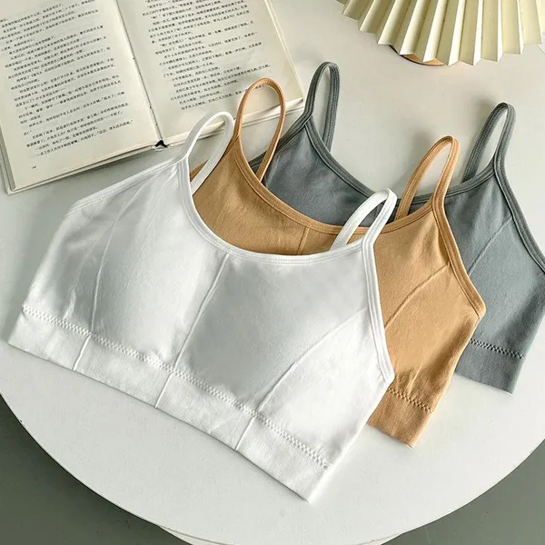 Pack_Of_3_|_646_Soft-Touch_Padded_Bra_â€”_Ultra-soft_lining_for_all-day_comfort.