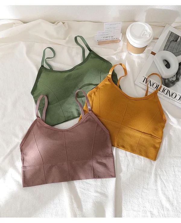 Pack_Of_3_|_646_QuickStretch_Padded_Bra__Fast_recovery_stretch_fabric.