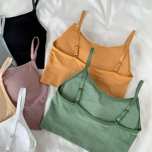 Pack_Of_6_|_646_Heavy-Duty_Padded_Gym_Bra__Built_for_Daily_Training
