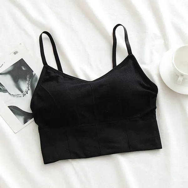 Pack_Of_6_|_646_Heavy-Duty_Padded_Gym_Bra__Built_for_Daily_Training