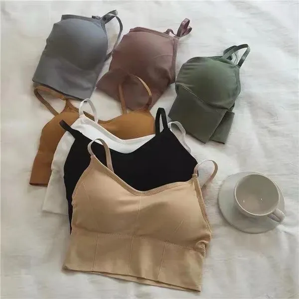 Pack_Of_6_|_646_Molded-Cup_Padded_Bra__Smooth_Shape