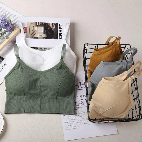 Pack_Of_3_|_646_Seamless_Padded_Bra__Smooth_Under_Clothes