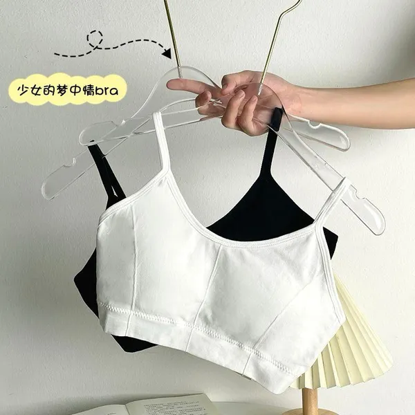 Pack_Of_2_|_646_Everyday_Support_Padded_Bra_—_Reliable_hold_for_daily_use.